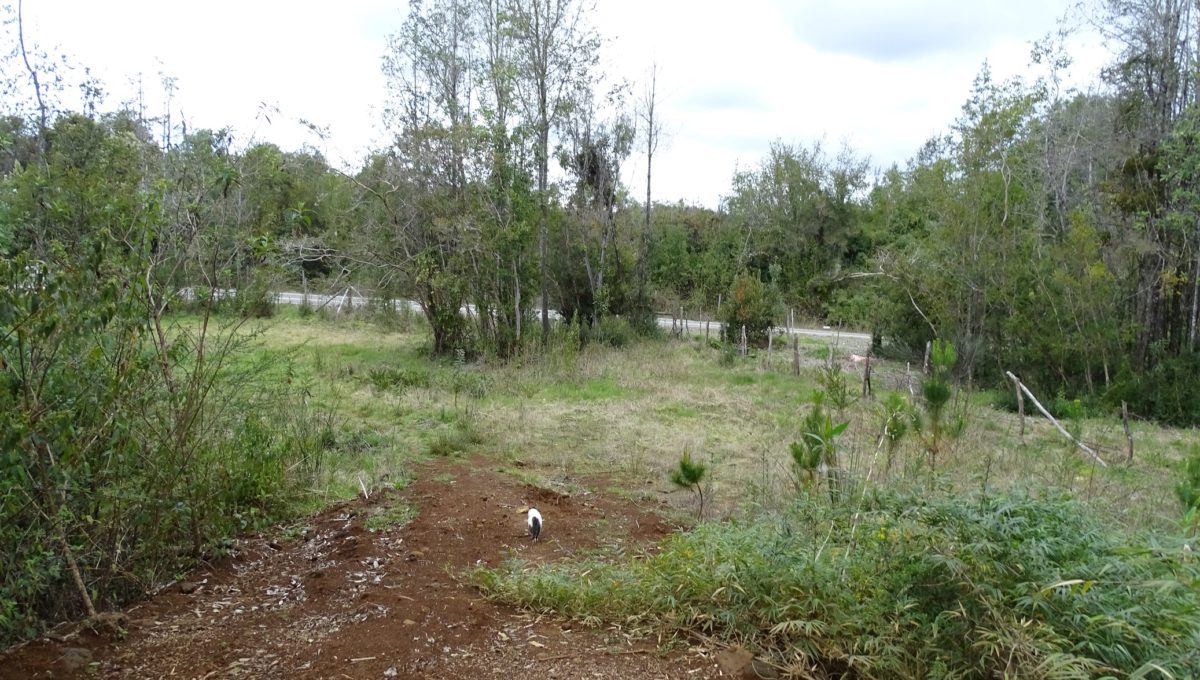 DSC01866