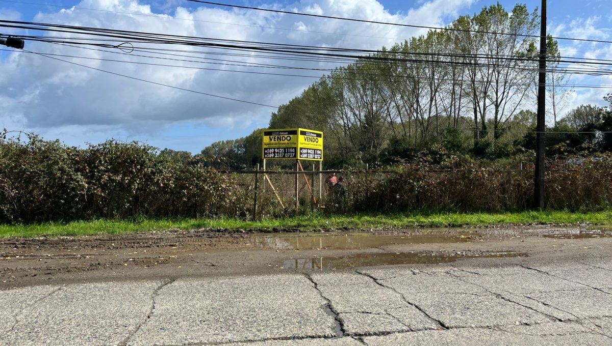 WhatsApp Image 2026-03-24 at 12.14.42