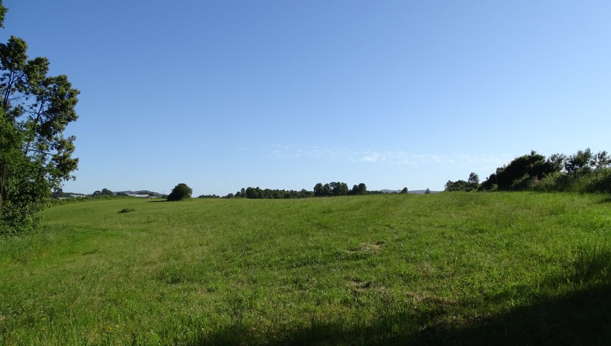 DSC01282