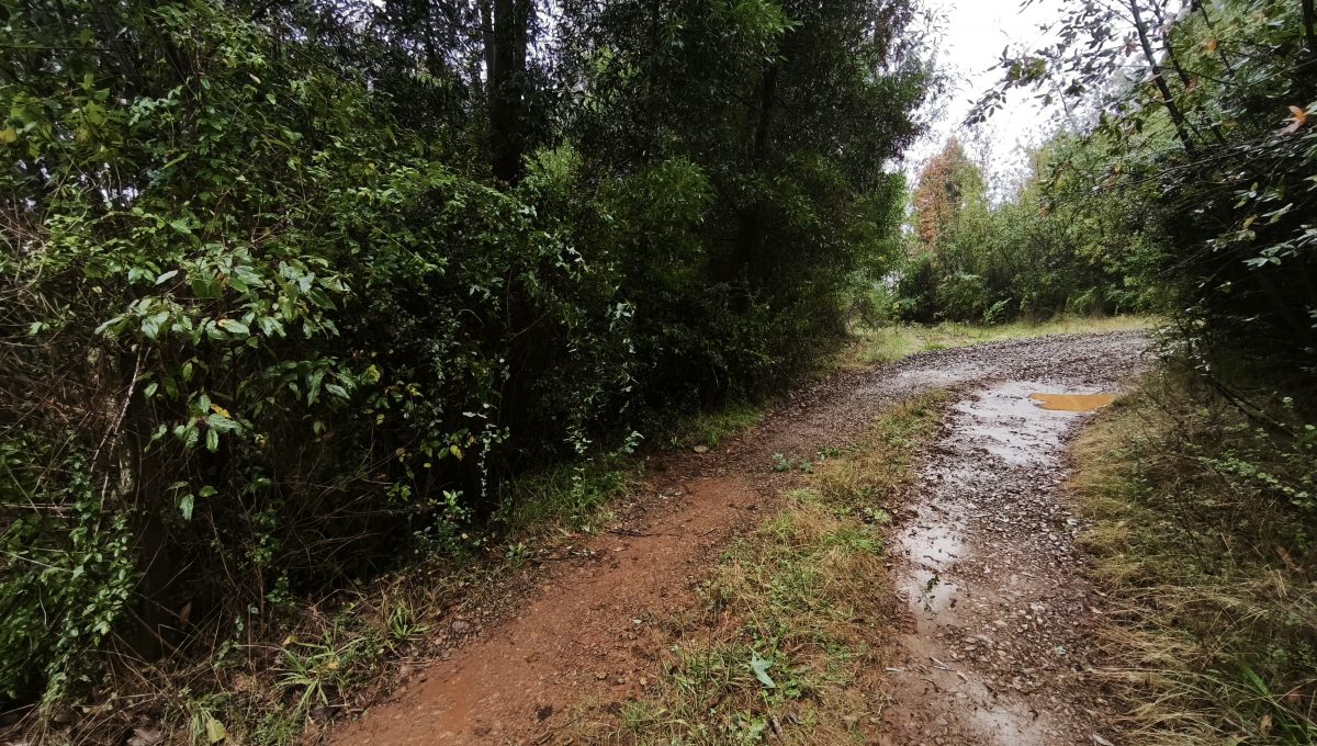 0d3b4a4b-f2c4-40a2-a45d-5ce57249471c