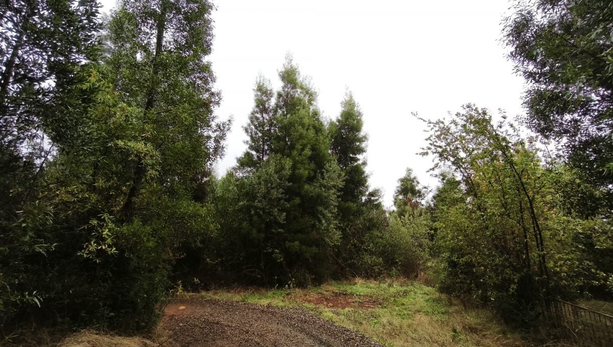 15c3cd6f-0e45-4c40-bb3c-e15c249b4e34