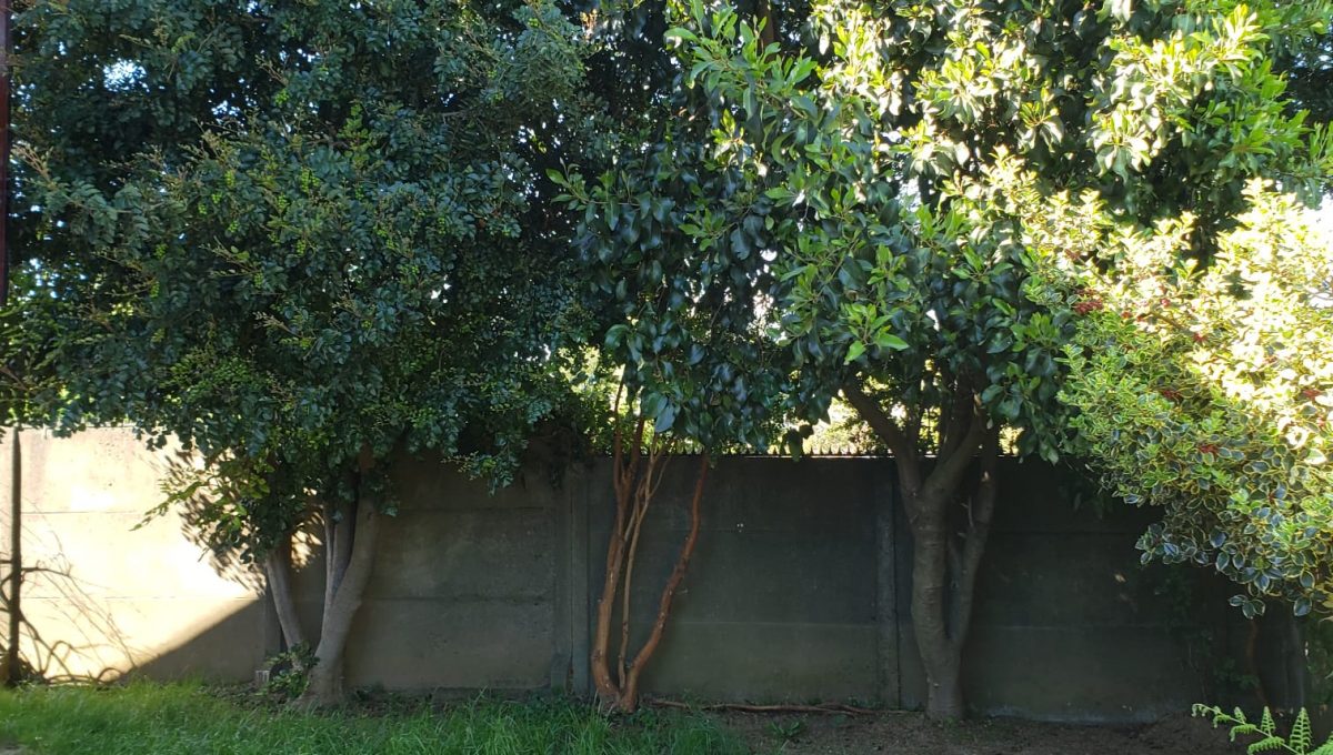 1999b35c-00c1-45ed-a6c8-34a7de4cd07b