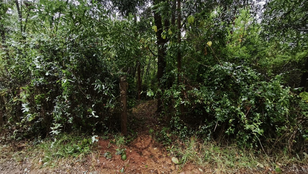 22f74622-fc6d-452d-8af0-b913562d4ebb