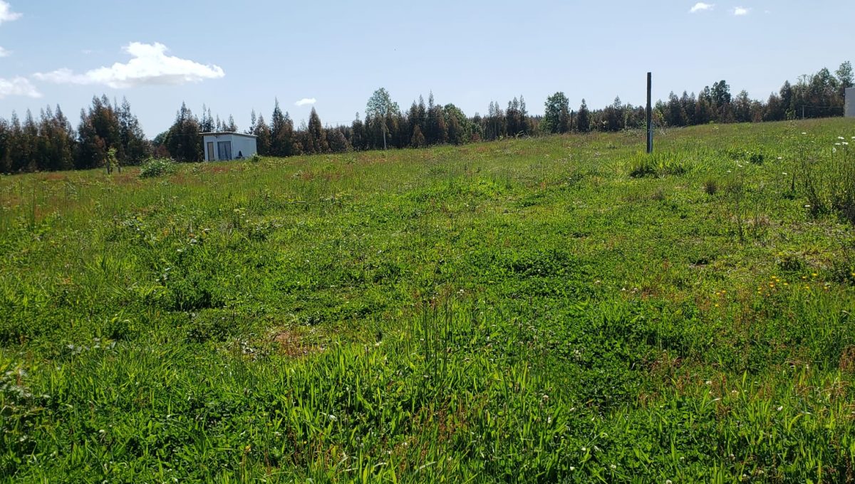 2ccac1c1-0b3c-4f6d-b3b6-bf19547f64a4