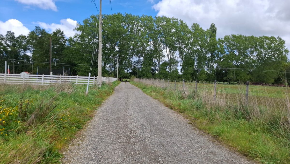 33683842-febc-4c42-88e7-c6b4e4357fe2 (1)