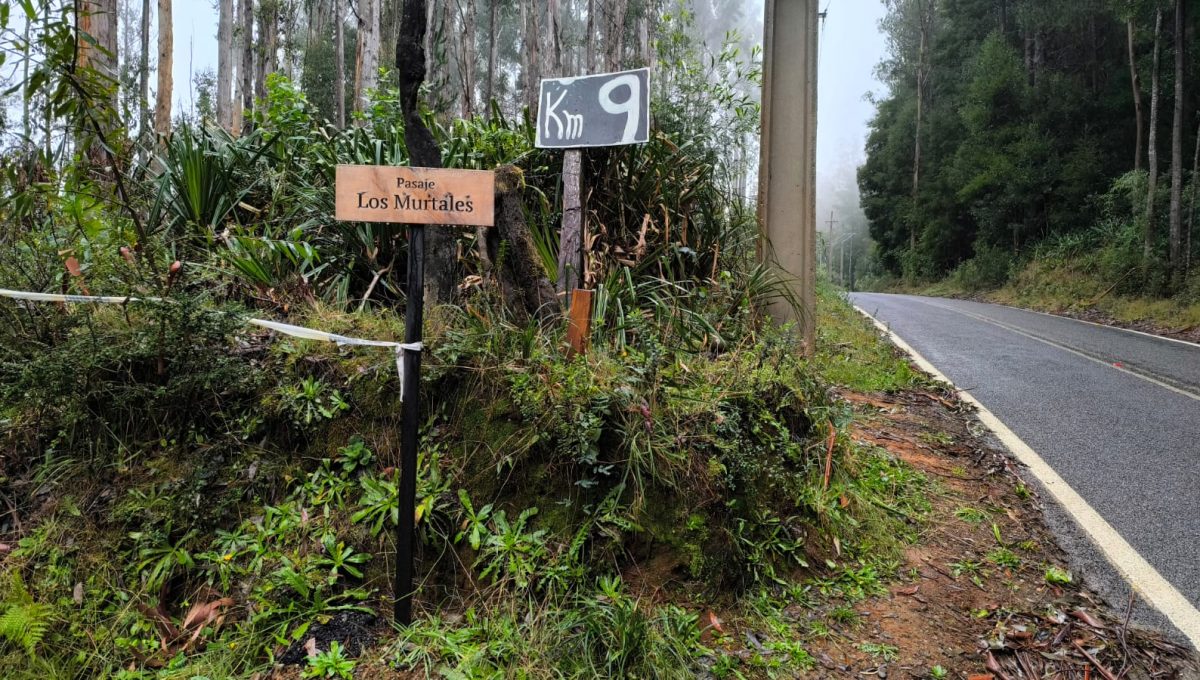 397b597f-e1d6-466c-9101-43c4bad7b376