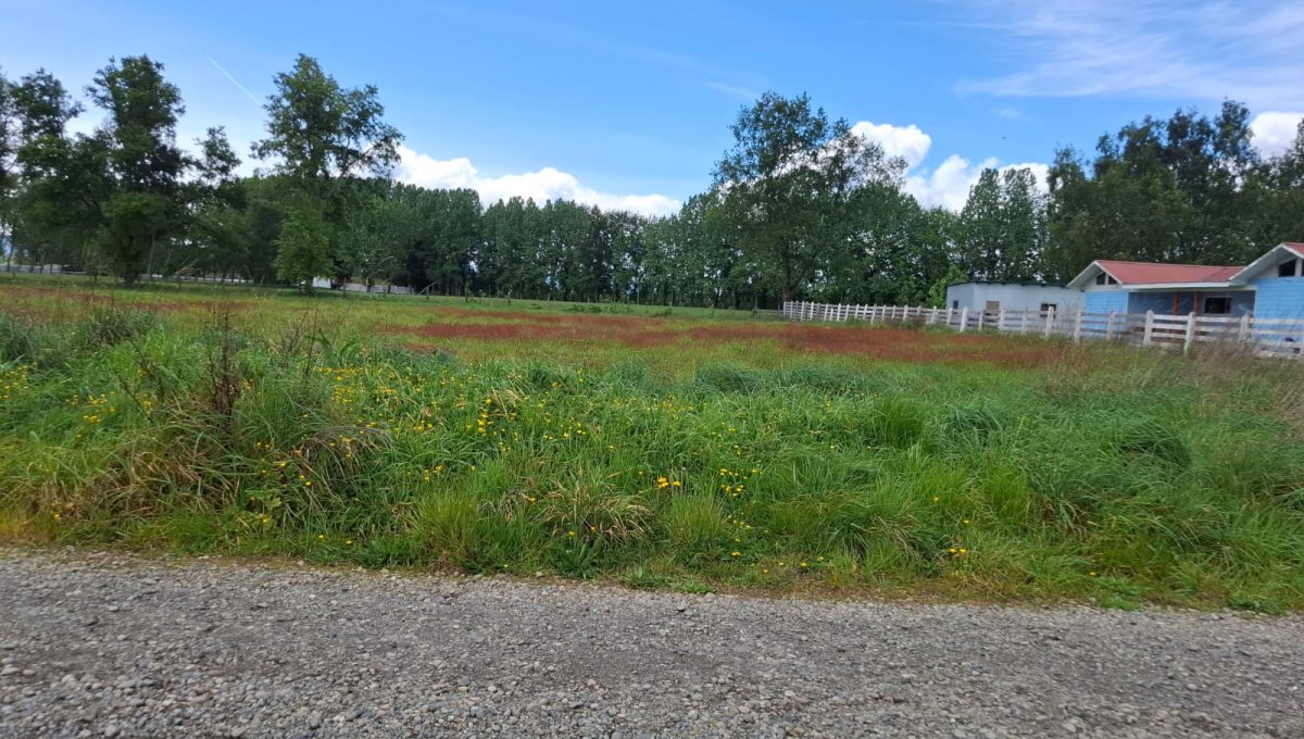 3a63d900-58e1-4acf-a621-368cfe318ded