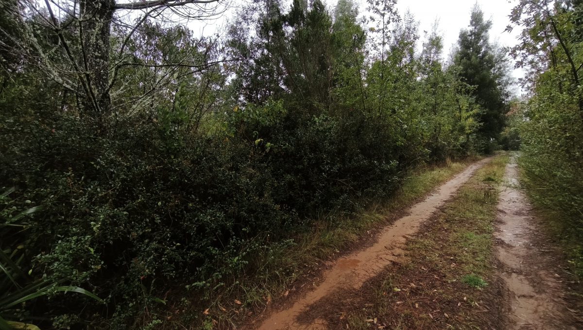 3c5a36e1-4562-4343-a9ff-bb7cc3e0ae32