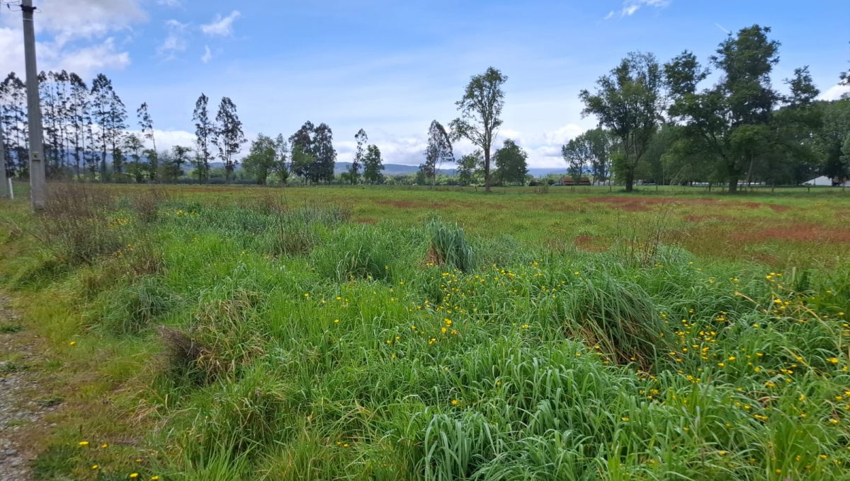 47d5c863-54a9-4489-99ed-19b834be33e8