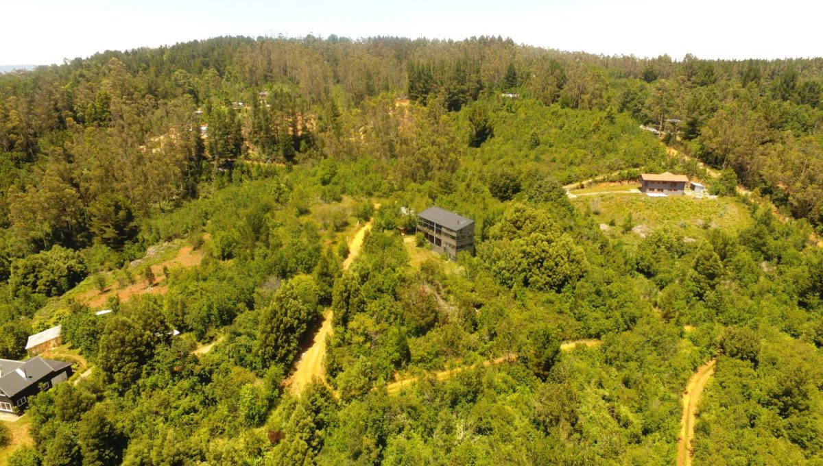 4814996a-f707-4025-9ce7-a00051c5be27 (1)