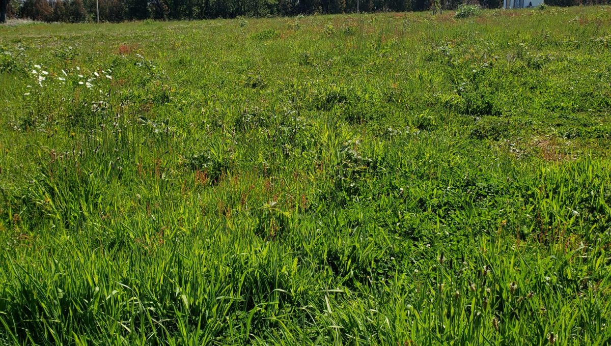 49d8bb2b-8ff9-4a3a-b5d2-f4c5068f59d6