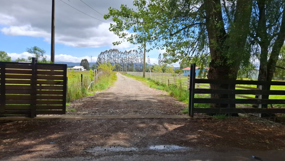 4e659945-b094-463a-be98-f6d7a3c59543