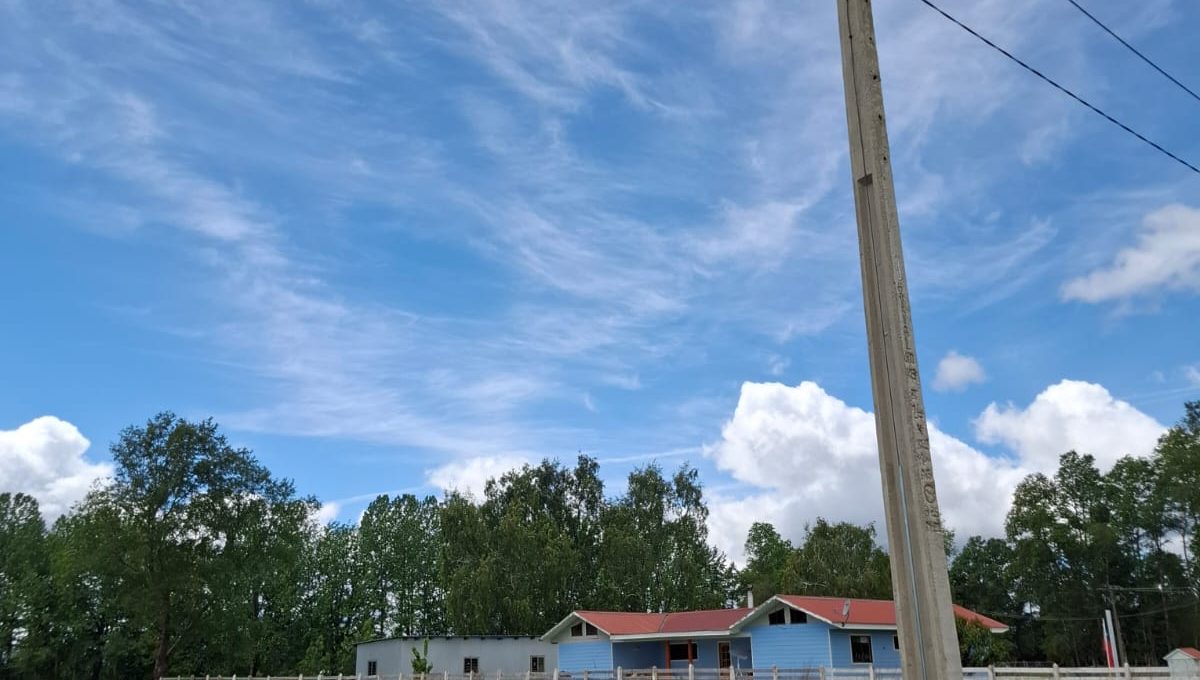 50082cf5-c523-419e-aa1f-809a698db902