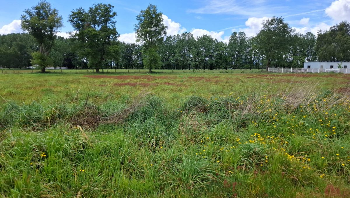 57ab8e1d-1a36-40af-8c9f-3484f1e46c4c