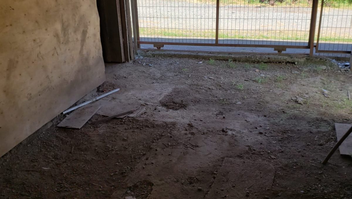 61c3f07e-c77c-402c-a192-43ee4d8b5e4a