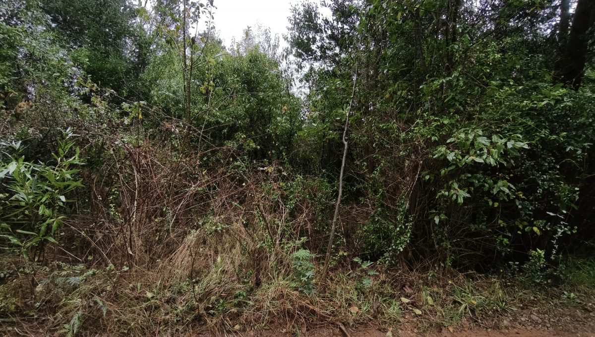 6232c15f-bade-4f9a-9bd8-462f56ab281f