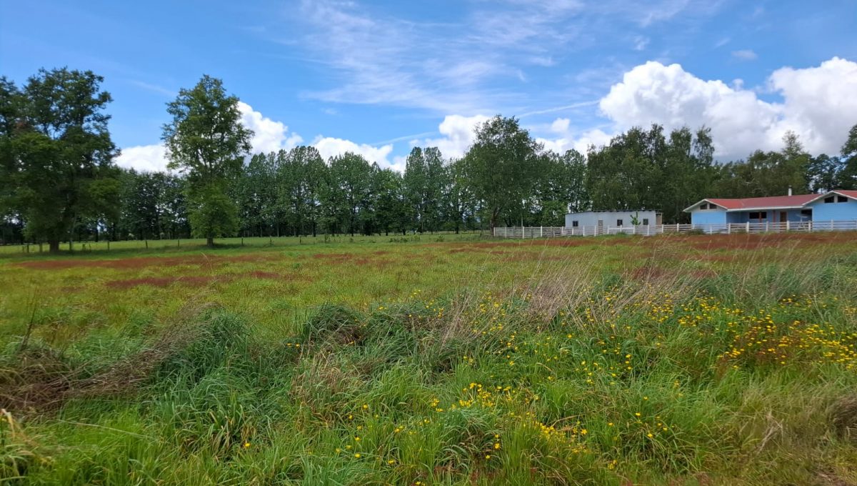 6dd5520e-6db4-4119-aa97-61a4c45aa65b