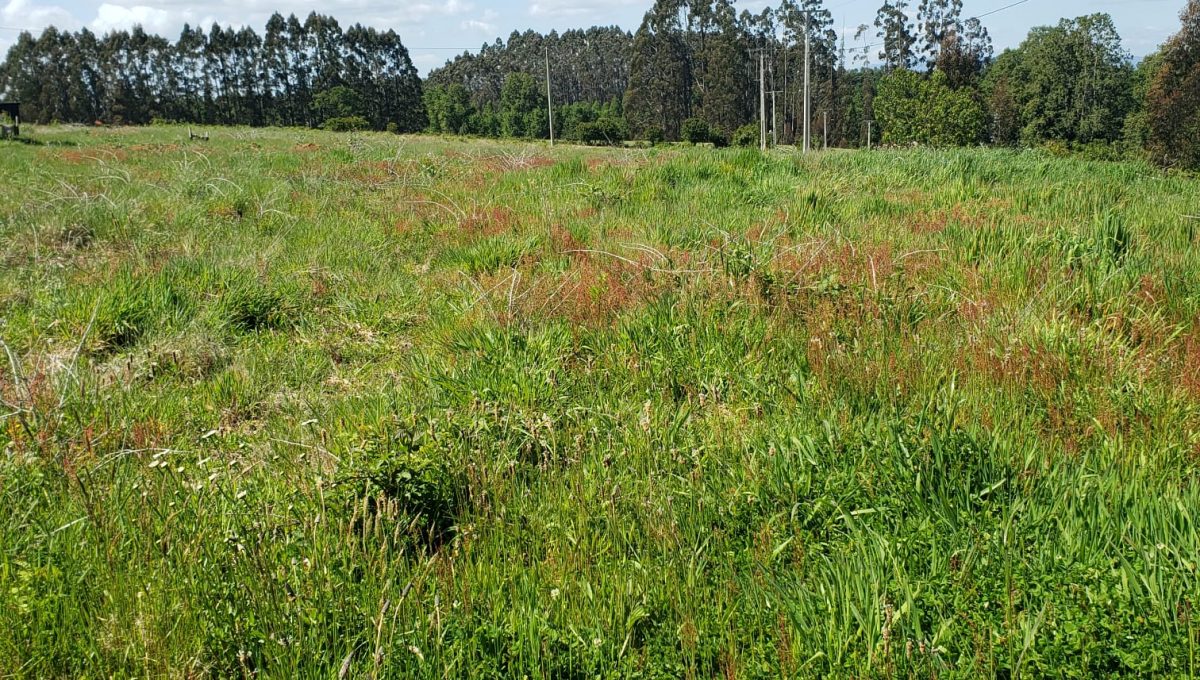 7e6927c8-54ce-4072-b077-1ef84f82aeeb