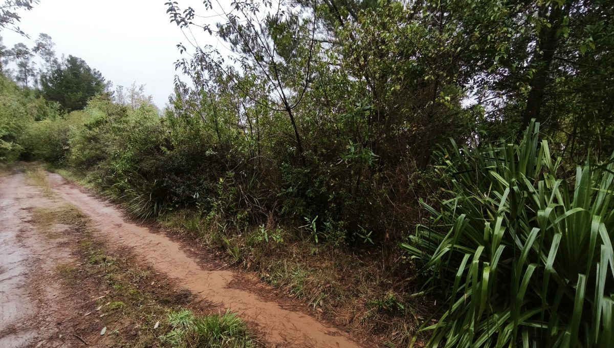 905e8d1f-04ed-4a85-9a4d-7a907cd5fc67