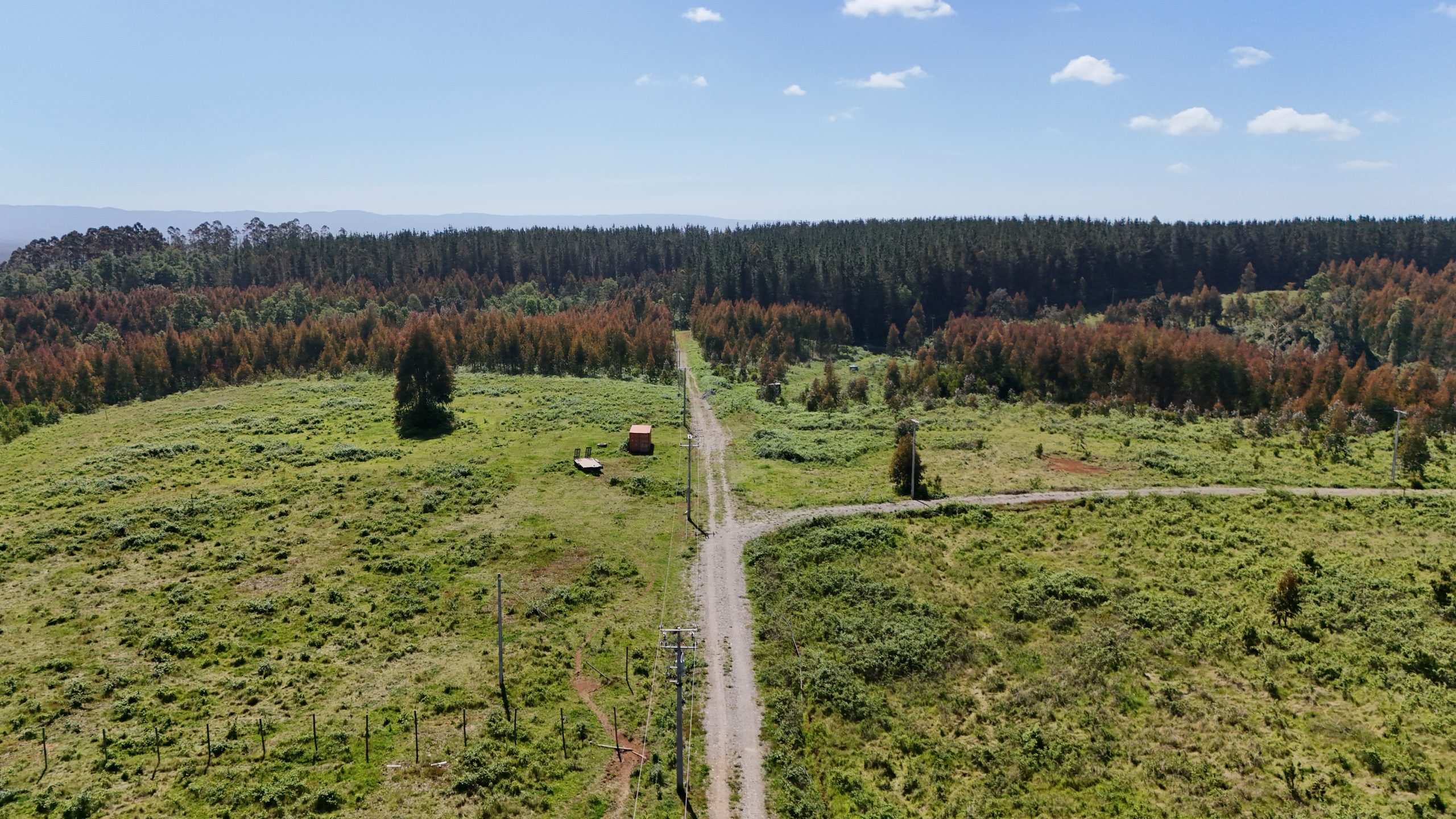 Parcelas a 39 km de Valdivia