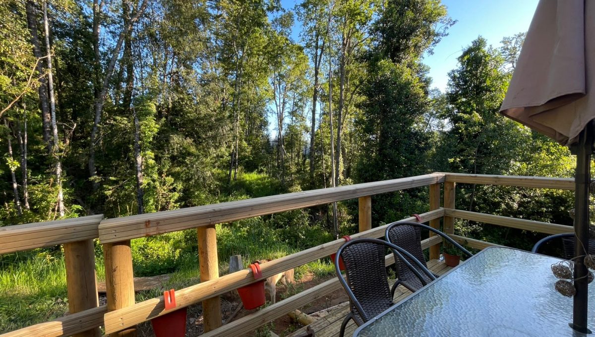 WhatsApp Image 2025-11-14 at 5.07.19 PM