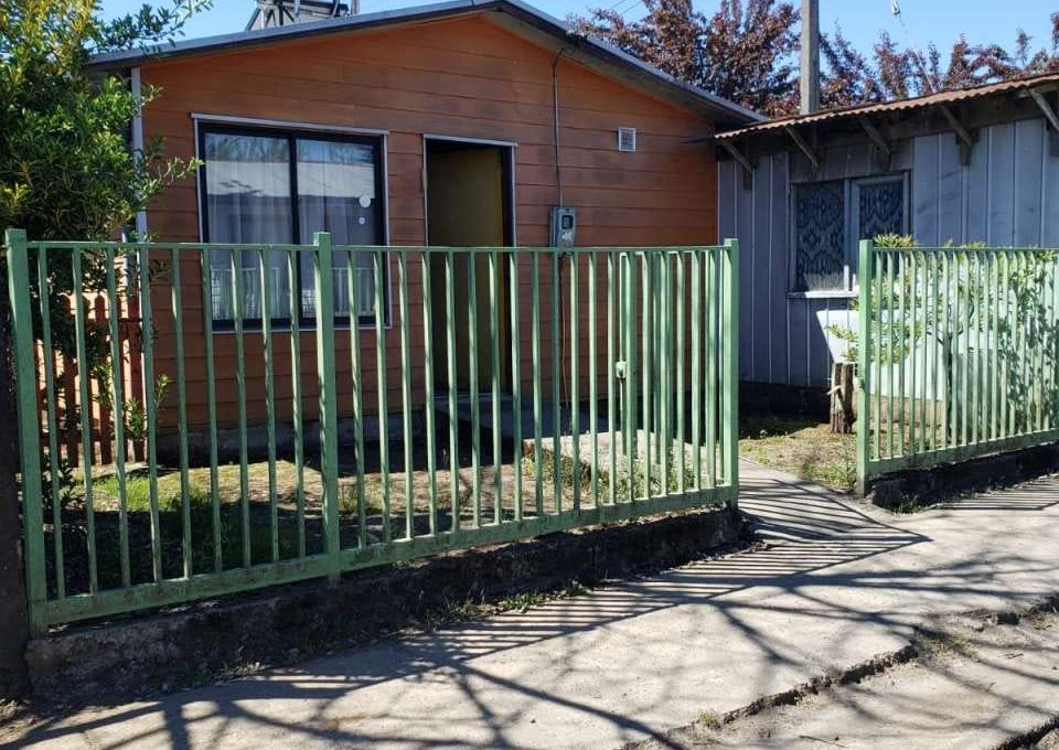 WhatsApp Image 2025-11-26 at 16.35.44