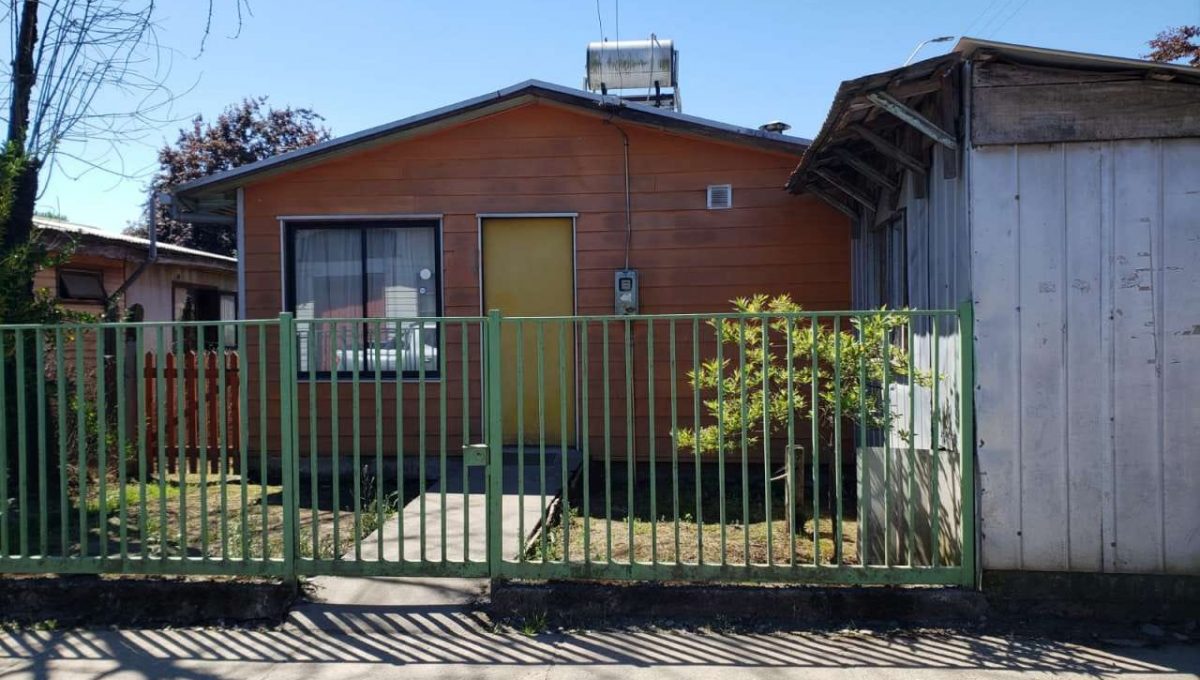 WhatsApp Image 2025-11-26 at 16.35.55