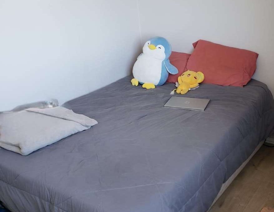 WhatsApp Image 2025-11-27 at 18.07.41