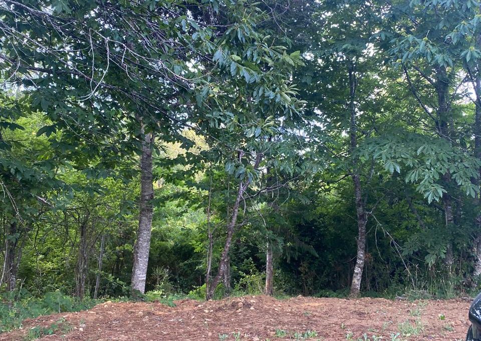 WhatsApp Image 2025-11-28 at 16.40.25 (1)