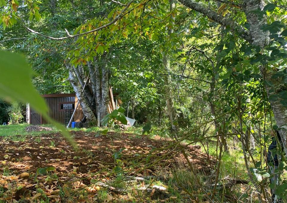 WhatsApp Image 2025-11-28 at 16.40.28 (2)