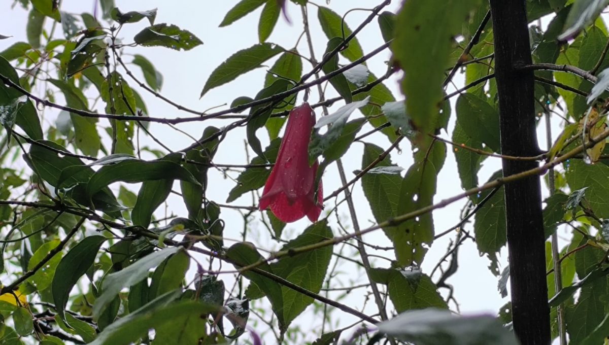 a44c6ef7-3638-479e-994c-9f6d6d003d83