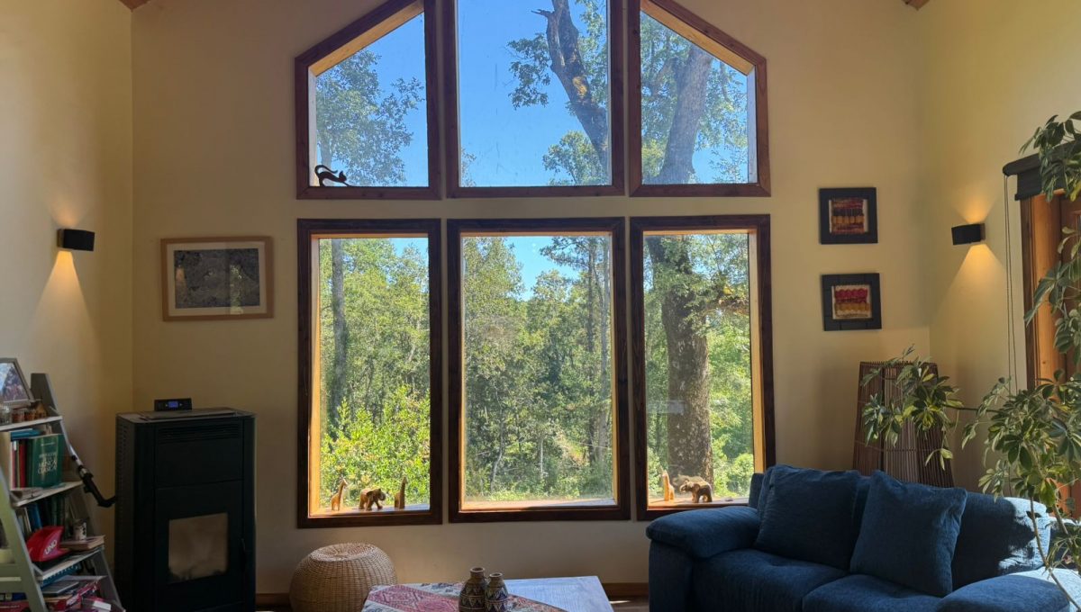 a7949982-8f2d-4026-8426-1cd2890ad19c