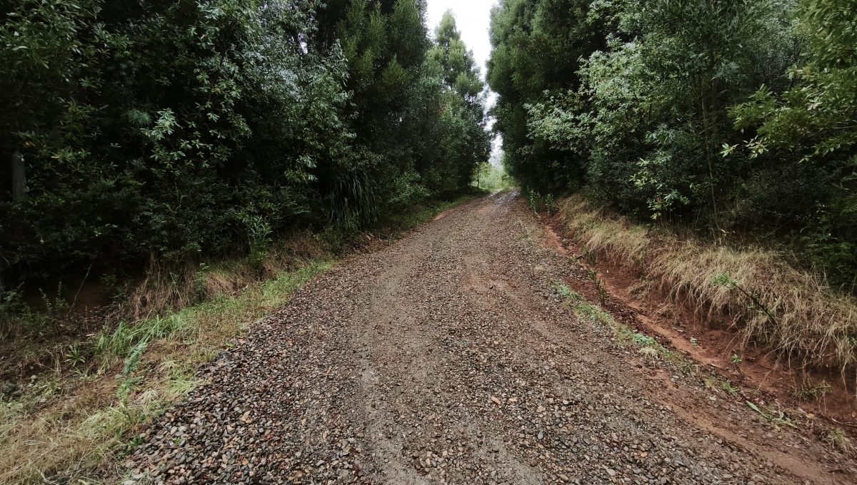 a7db9d7b-16cc-4984-a3cf-98a25167eb50 (1)