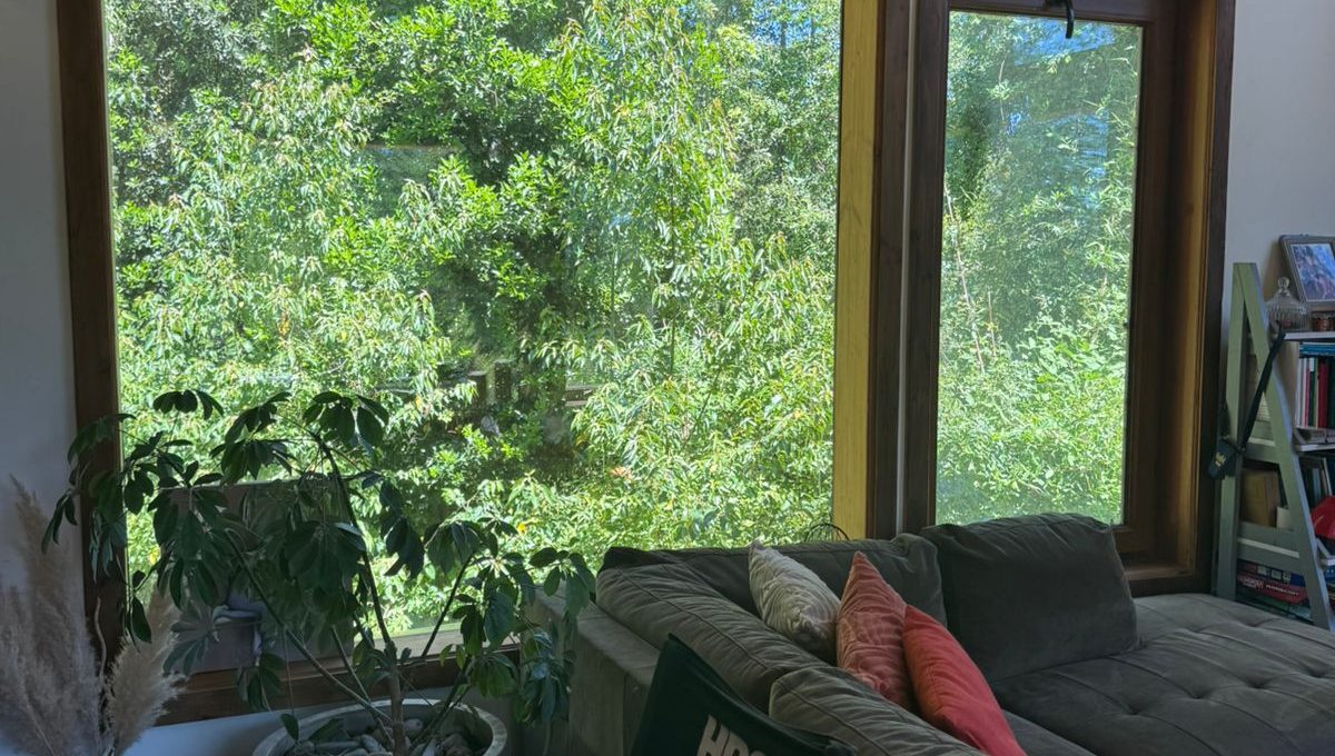 afe57b57-8a0f-4618-8fcc-e62a14d73990