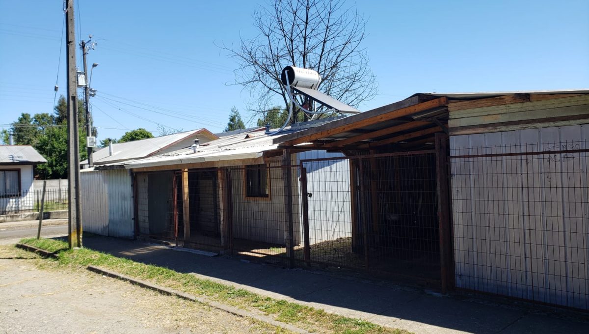 bc758601-179c-4226-89fa-d01be85209a9