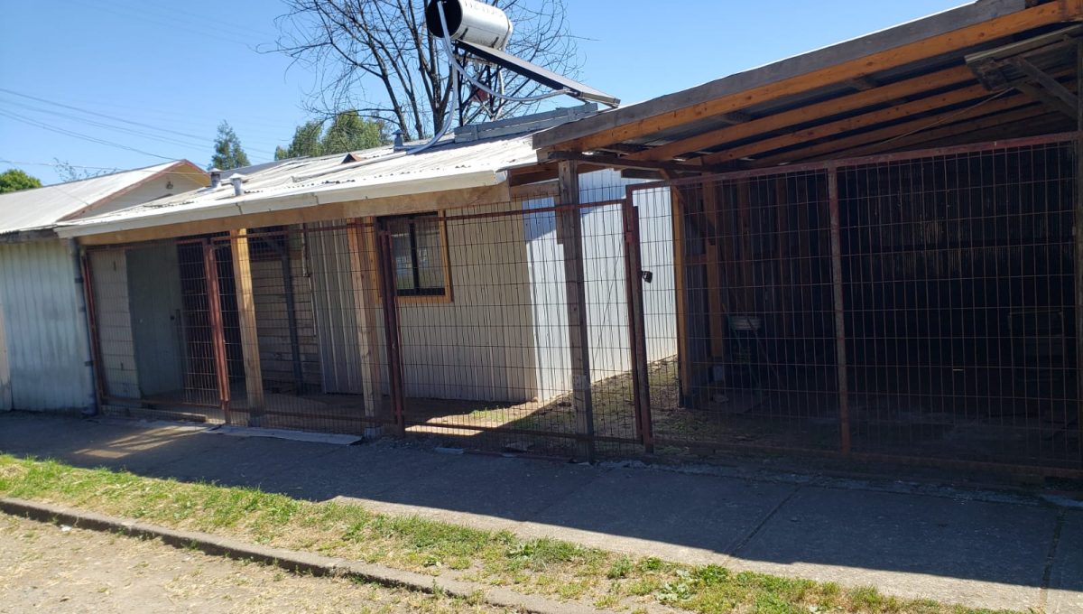 d429f74d-f9a4-4151-9fd6-4bcd7a15611a