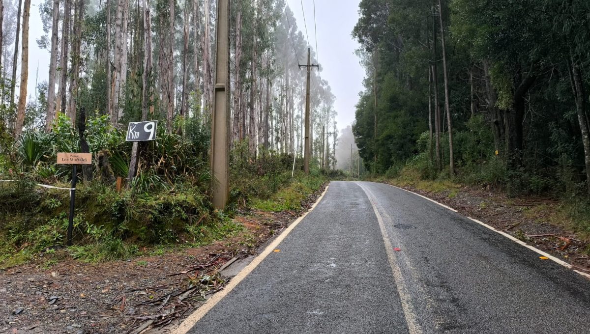 ddada1f7-9431-4c56-82b5-e5ab2b172990