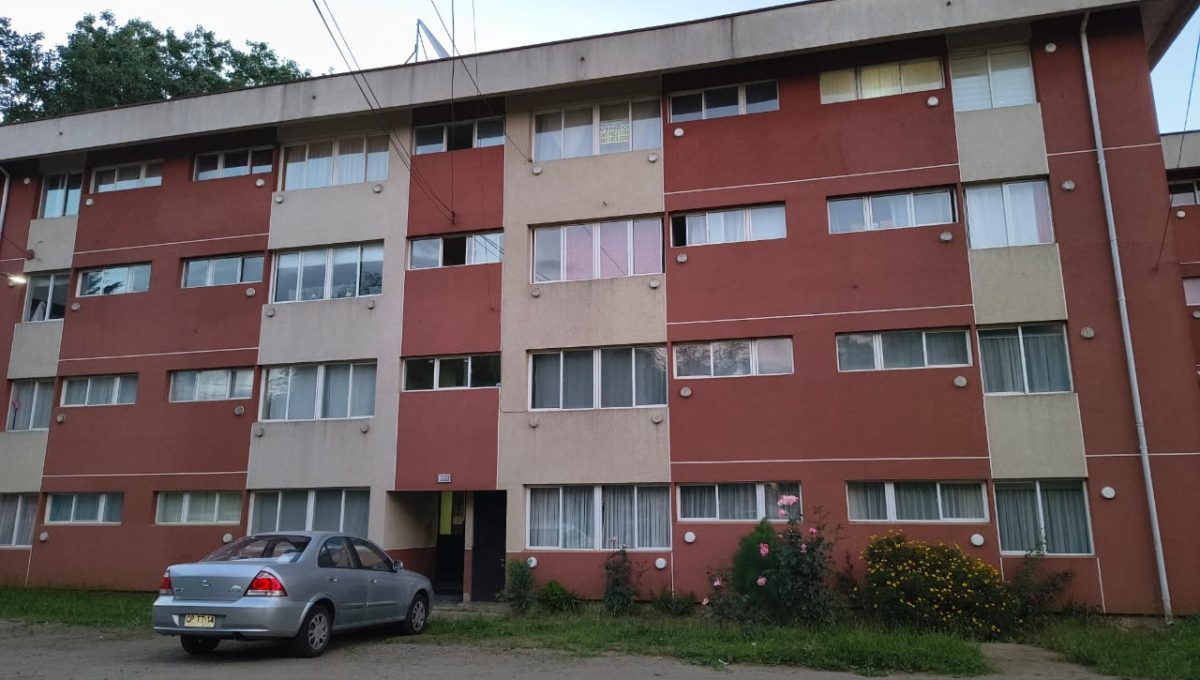 WhatsApp Image 2025-12-11 at 16.14.31