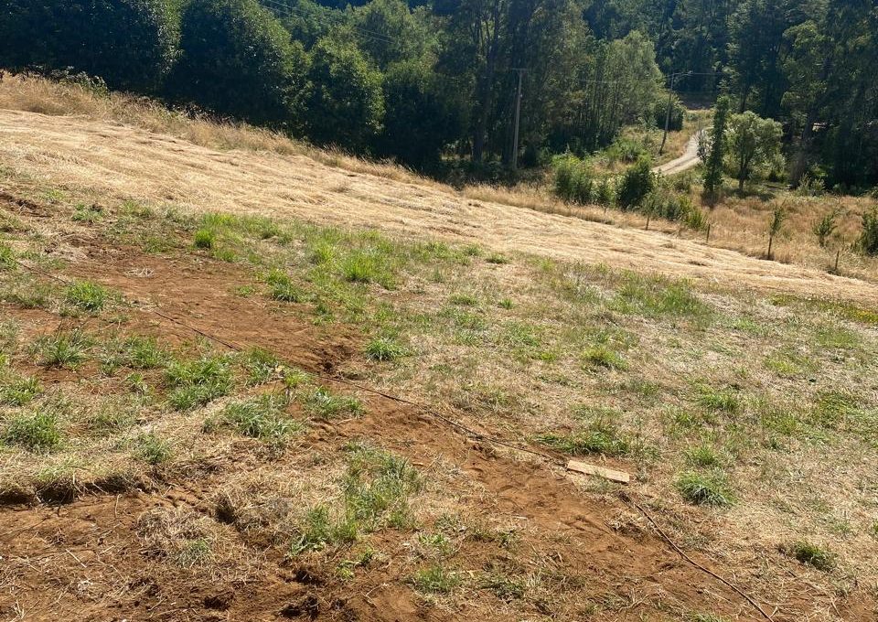 05feaef7-f192-4f74-8196-ab4bb78c80ba