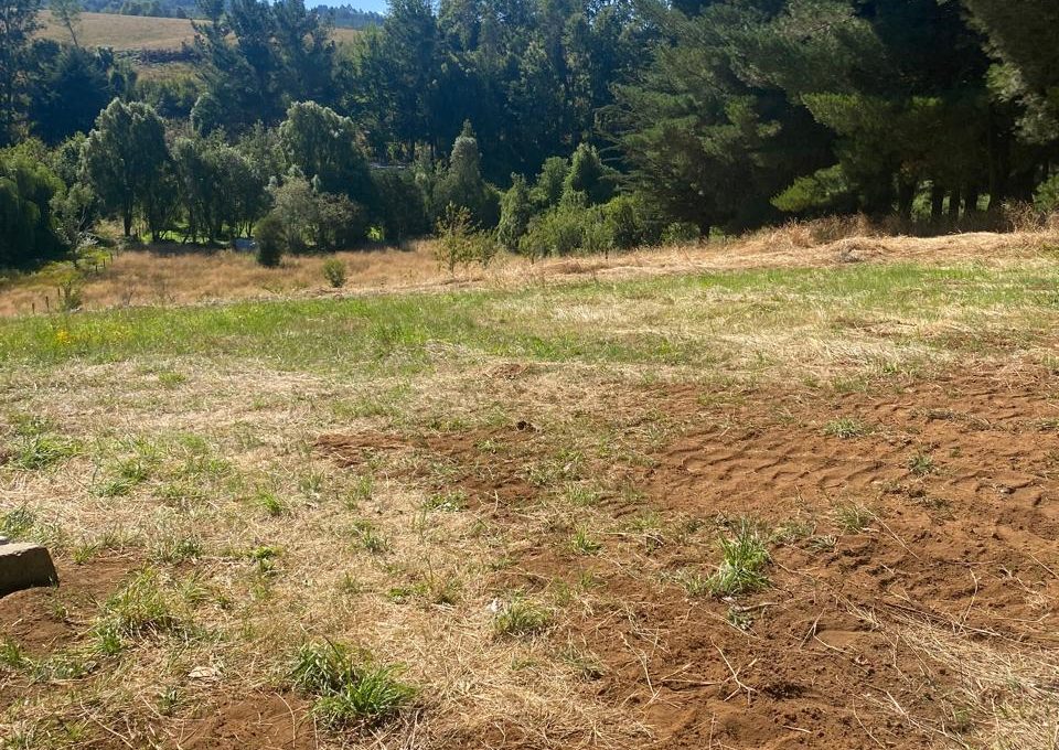 08b98e56-f3c1-4318-b854-1e078da5f0e3