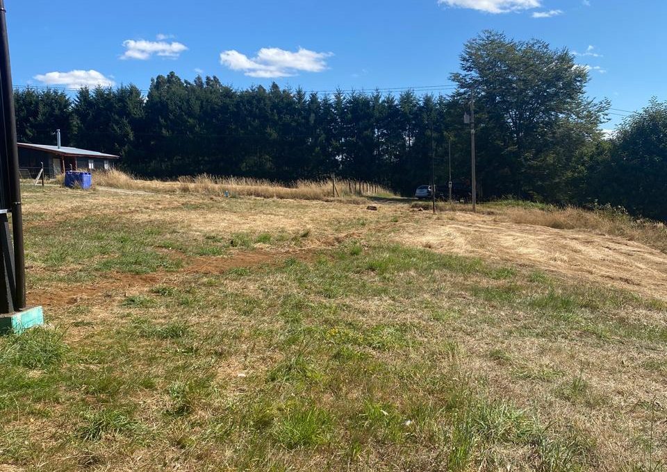 144aa8e6-ce68-4864-a38d-e26136781cea