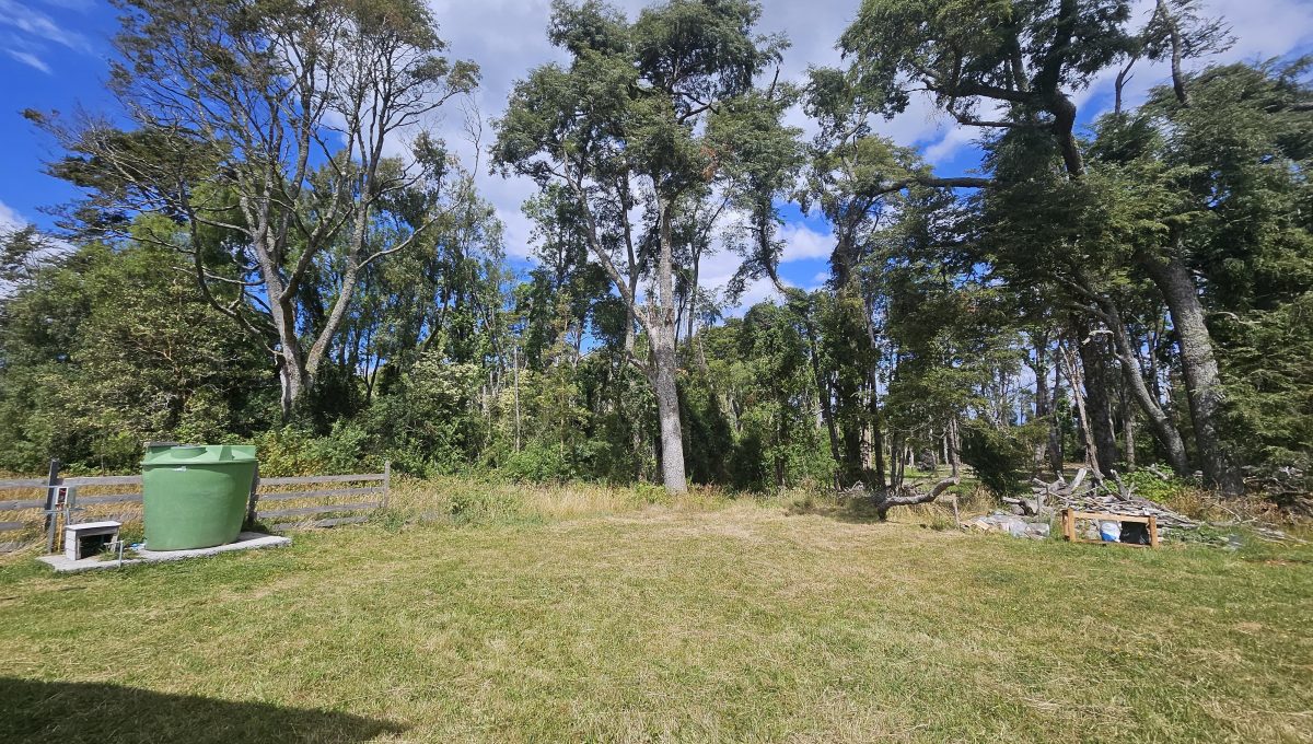 239d6c29-f9ca-48ac-a6f5-193198ada7e8