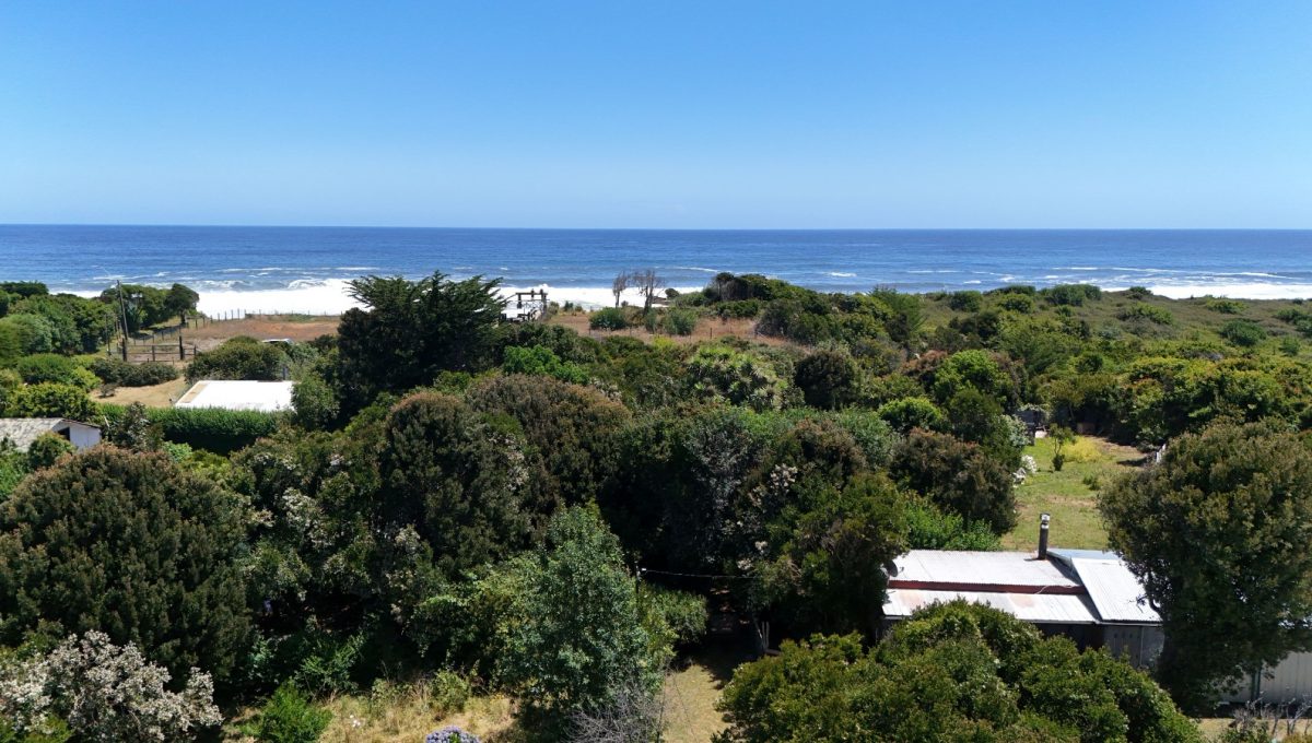 2b352531-e368-4394-8476-5b0dd12d03fb