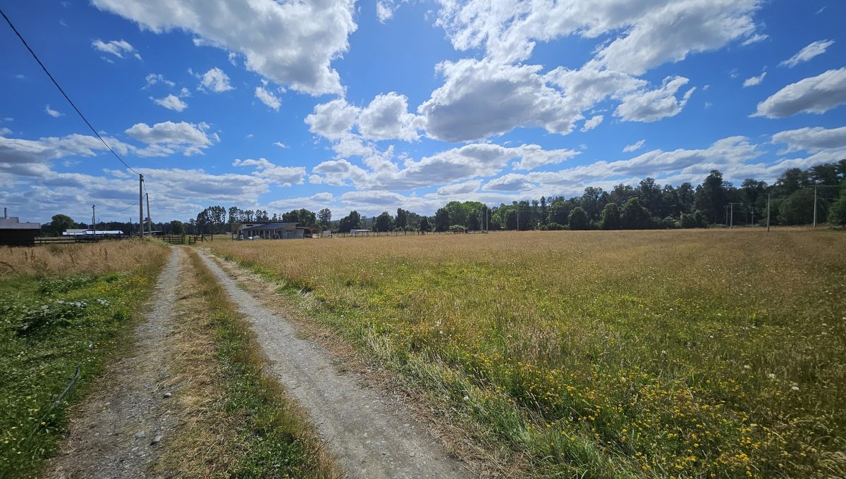 34e53b86-9208-4d8c-ac9b-5eb789ffb7f0