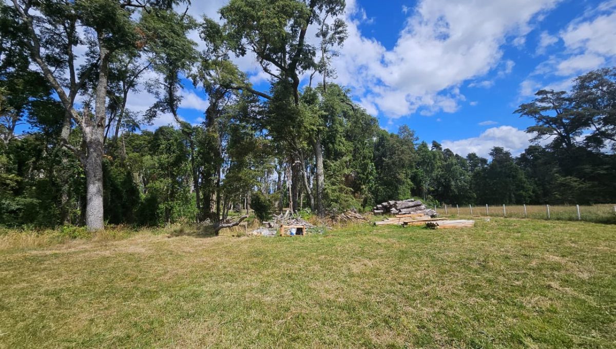 38d363c8-92d0-4d52-b514-de148e7bd6e3