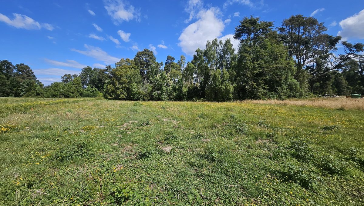 4149135c-563c-4da5-98a3-ab9190d0be8f