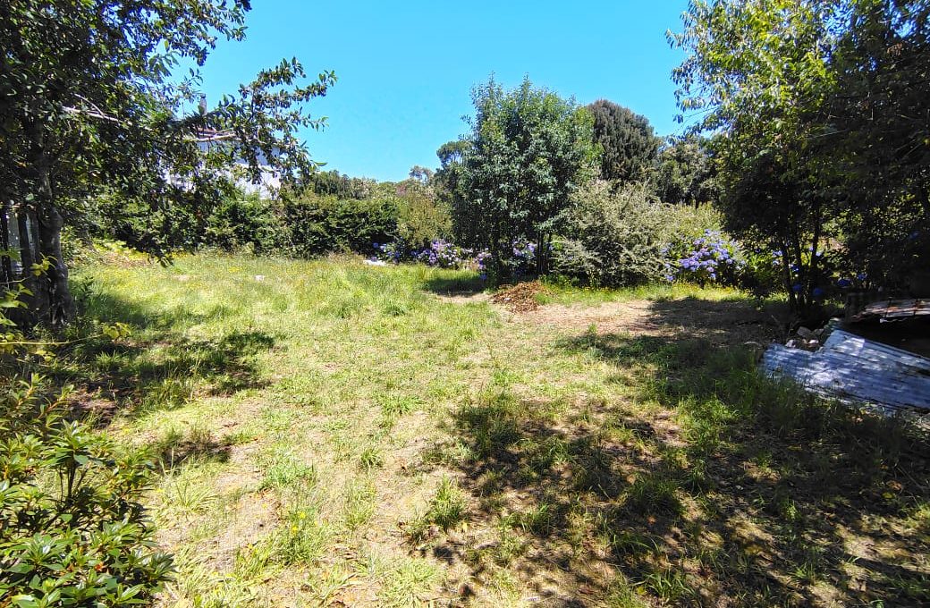 4462a532-0a74-4d83-99a7-6e5fd72f8c2e