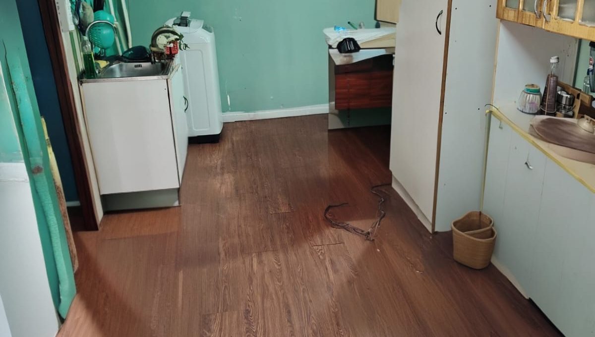 4f83db80-e9af-4d34-a7de-09f334d6b2a0