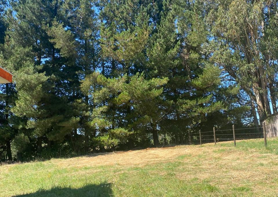 502340ec-79f8-43d9-8c86-72a5ecb7aefc