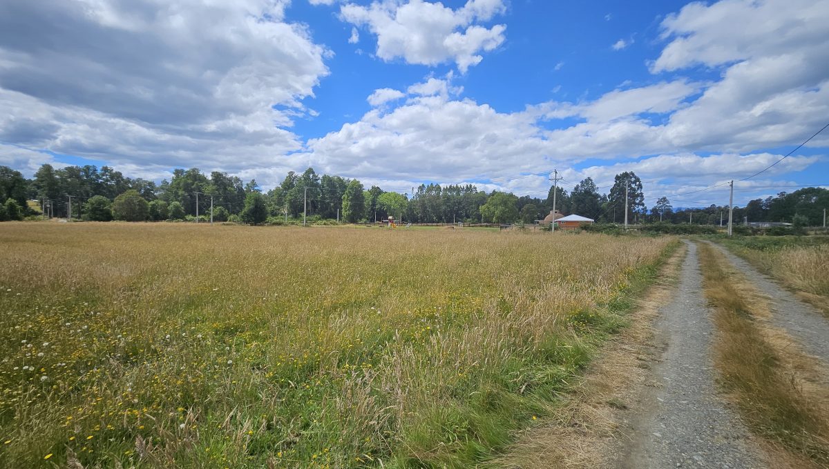 557160e0-731a-4bdd-95c2-a8e9505d0723